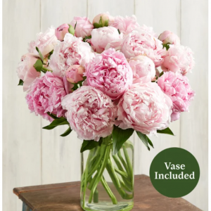 Precious Peony Bouquet, 20 Stems with Apothecary Jar