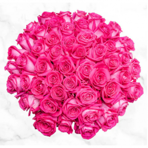 50枝粉红玫瑰