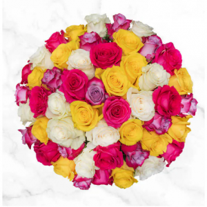 50枝春季四朵玫瑰