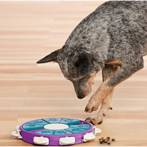 Outward Hound Nina Ottosson Dog Twister Dog Puzzle Interactive Treat Puzzle Dog Enrichment Dog Toy
