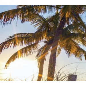 Best summer deals to the United States - Flights to Florida from C$386 @Air Transat