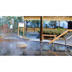 2025东京15大温泉酒店排名及推荐（价格+地址+泉质及疗效+预定网站/App）