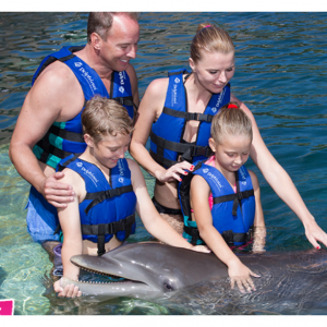 20% off Family Dreams Ride @Delphinus 