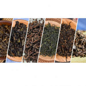 Discover True Single-Origin Tea @ Verdant Tea