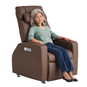  Laevo Zero Gravity Recliner with Lift Assist @ Relax The Back