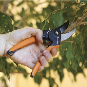 Fiskars 软柄专业修枝剪 花园剪刀 @ Amazon