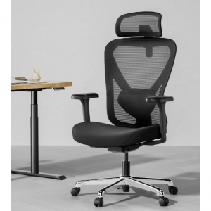 HINOMI Q1 Ergonomic Office Chair
