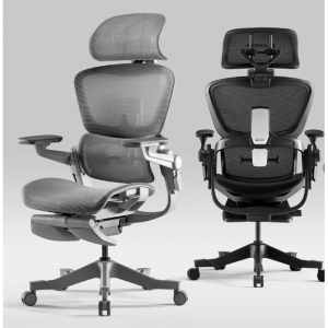 HINOMI H1 Pro Ergonomic Chair