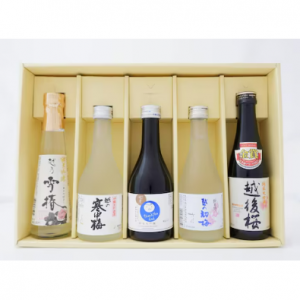 【予約商品】 父の日　新潟清酒とお父さんラベル入り　5本セット 【ご注文は6月9日まで】