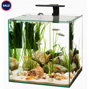 Aqueon Frameless Cube Aquarium, 14 Gallon @ Petco