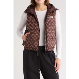 46% Off The North Face Hydrenalite™ Water Repellent 600 Fill Power Down Vest @ Nordstrom Rack