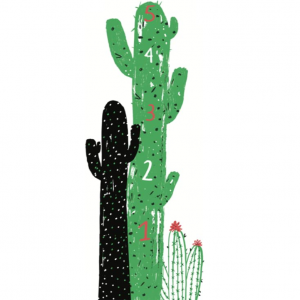 Cactus Growth Chart @ Chasing Paper