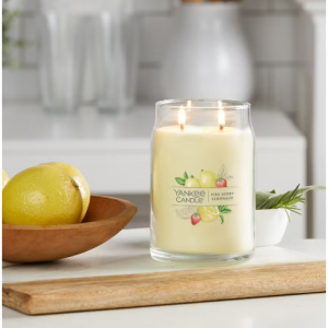 Yankee Candle Semi-Annual Clearance 2024 - Up to 75% OFF, Silver Sage & Pine Candle only $3