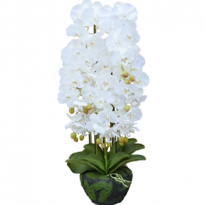 苔蘚球仿蘭花大號