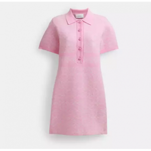 Coach Polo Sweater Dress Polo领连衣裙