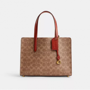 Coach Carter Carryall Bag 28 In Signature Canvas 托特包