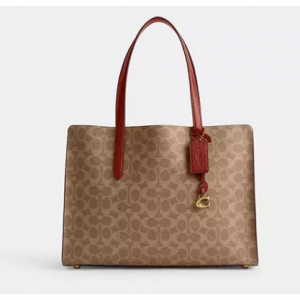 Coach Carter Carryall Bag In Signature Canvas 托特包