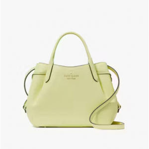 Kate Spade Dumpling 小号手提包