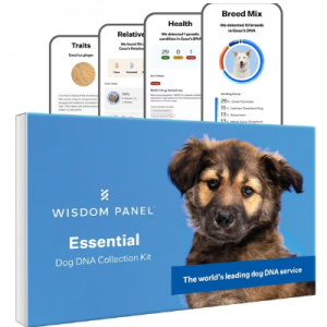 20% Off Wisdom Panel DNA Test Kits @ Chewy