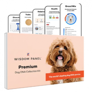 Wisdom Panel 优质犬种鉴定和健康状况鉴定 DNA 测试