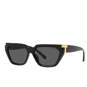 19% Off Tiffany TF4205U @ Fashion Eyewear