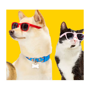 Up To 50% Off Clearance @ Petco 