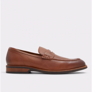 40% Off Darius Loafers @ ALDO Shoes UK