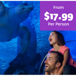 Single Ticket Admission from $17.99 @Sea Life Michigan