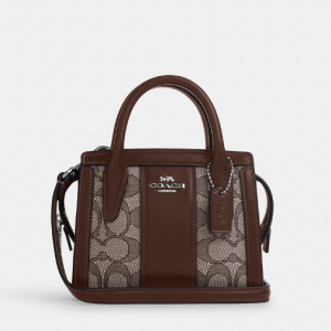 Coach Andrea Mini Carryall In Signature Jacquard
