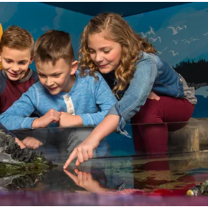 Limited-Time Afternoon Tickets for as low as $19.99 @Sea Life Grapevine