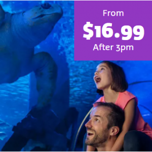 Admission + Digital Photos from $19.99 @Sea Life San Antonio