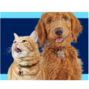 20% Off Sitewide @ Petco