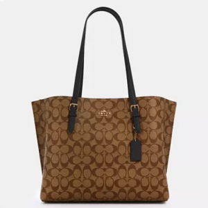 Coach Mollie Tote Bag In Signature Canvas