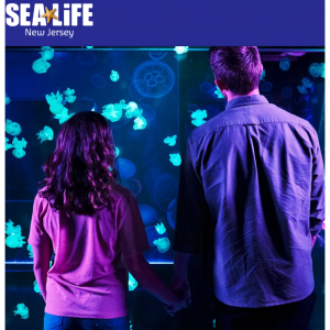 Sea Life New Jersey - 新澤西海洋生物館 +樂高樂園探索中心套票，現價$38.99 