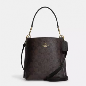 Coach Mollie Bucket Bag 22 In Signature Canvas