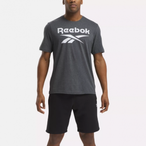 Reebok Identity Big Stacked Logo T-Shirt T恤