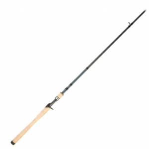 Bass Pro Shops Fish Eagle Casting Rod @ Bass Pro Shops