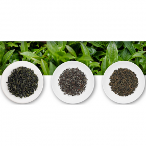 10个台湾茶叶品牌推荐（附台茶种类及口感特点）- 天仁茗茶、王德传茶庄、京盛宇等原产台茶！