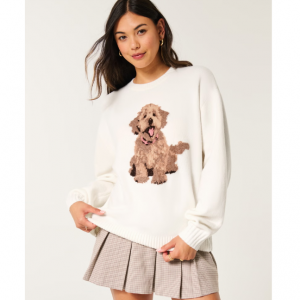 Hollister Oversized Puppy Graphic Crew Sweater for $49.95