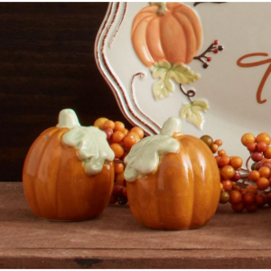 普利茅斯南瓜形状盐和胡椒调味罐子