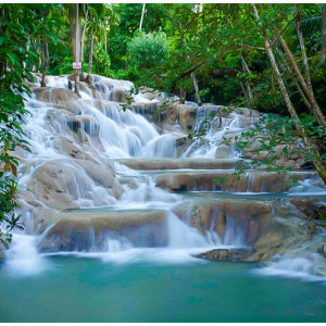 KT Nine Miles & Dunn's River for $139 @NexusTours 