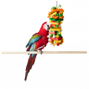 All Living Things® Knots & Blocks Bird Toy