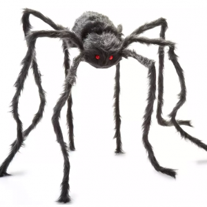50" 黑色多毛蜘蛛
