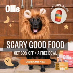 60% Off Your First Box Of Ollie + Free Ollie Bowl @ Ollie Pets