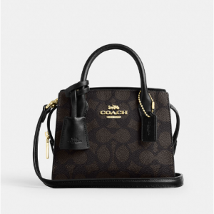 Coach Andrea Mini Carryall Bag In Signature Canvas