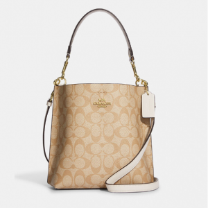 Coach Mollie Bucket Bag 22 In Signature Canvas