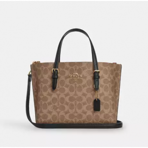 Coach Mollie Tote Bag 25 In Signature Canvas