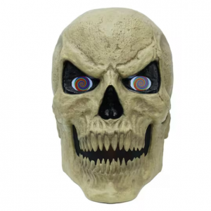 Home Accents Holiday 标准 Sklly骷髅头装饰