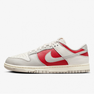 Nike Dunk Low Retro 板鞋