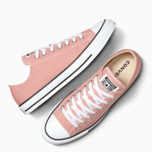 Converse Chuck Taylor All Star Seasonal Color 帆布鞋